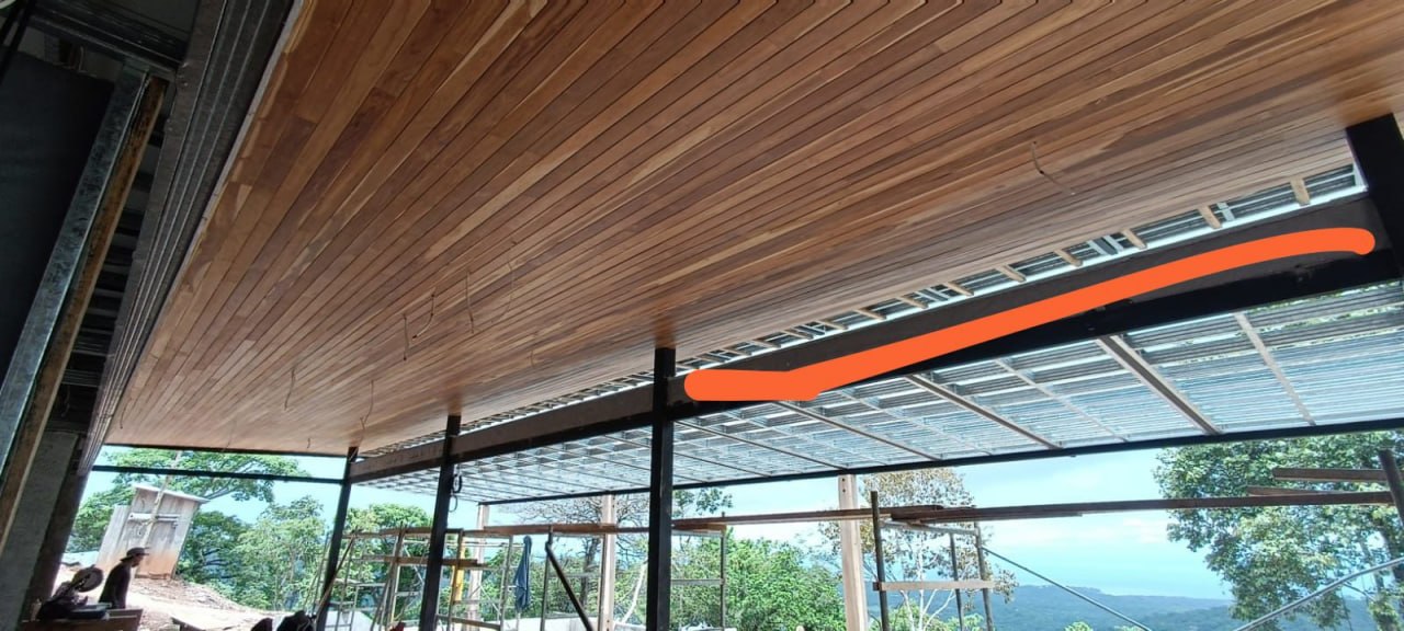 Teak annotated